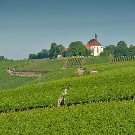 Готель Vogelsburg Escherndorf Екстер'єр фото