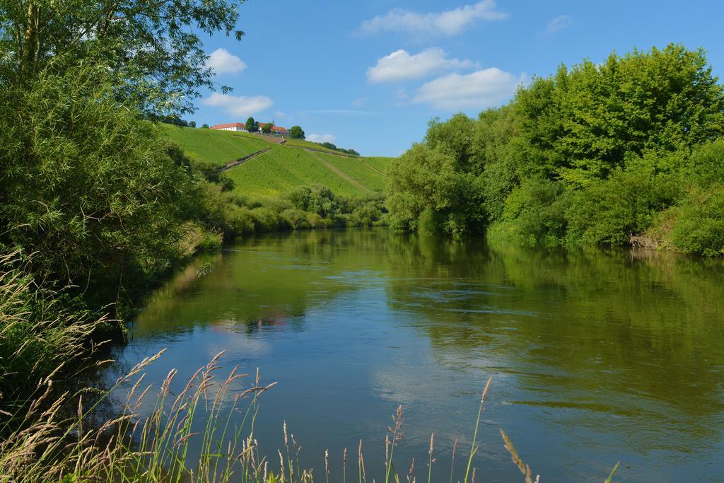 Готель Vogelsburg Escherndorf Екстер'єр фото