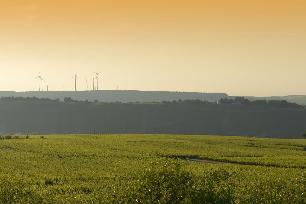 Готель Vogelsburg Escherndorf Екстер'єр фото
