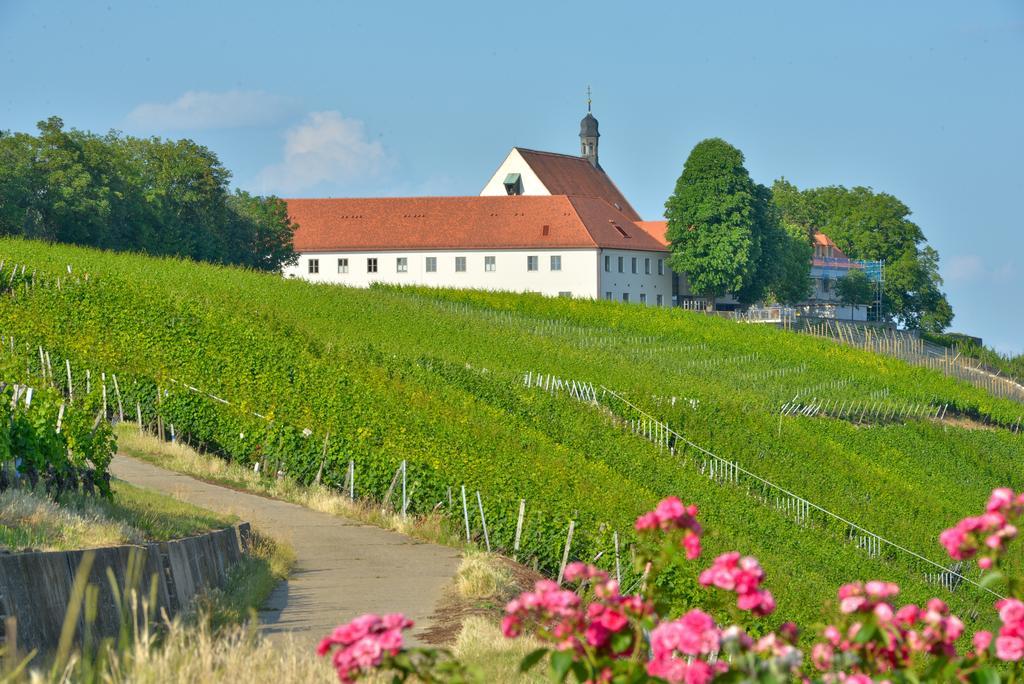 Готель Vogelsburg Escherndorf Екстер'єр фото