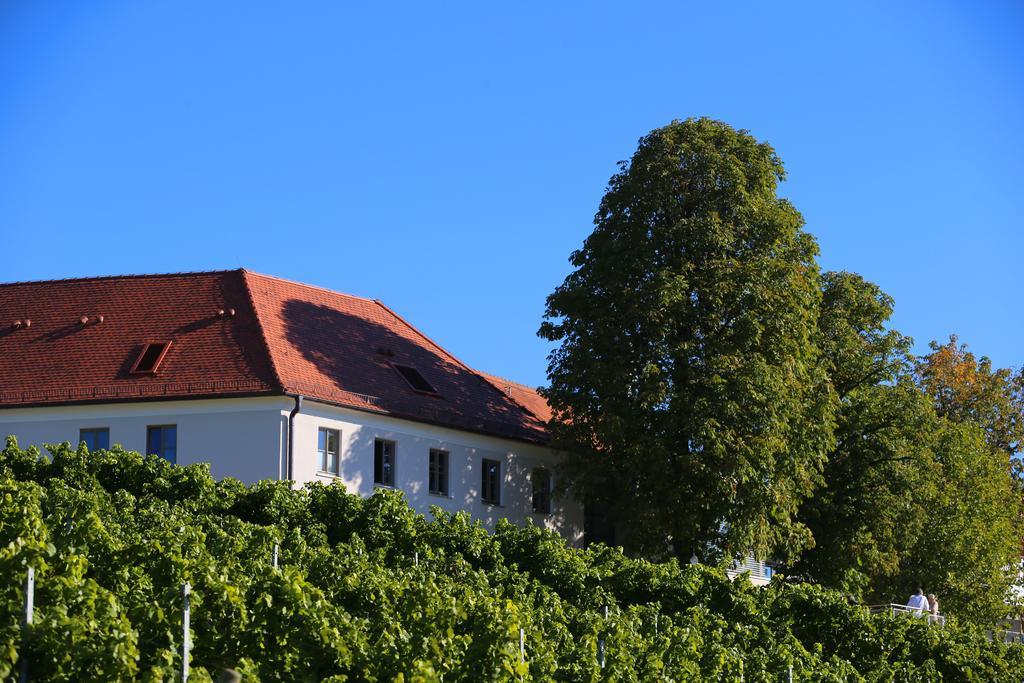 Готель Vogelsburg Escherndorf Екстер'єр фото